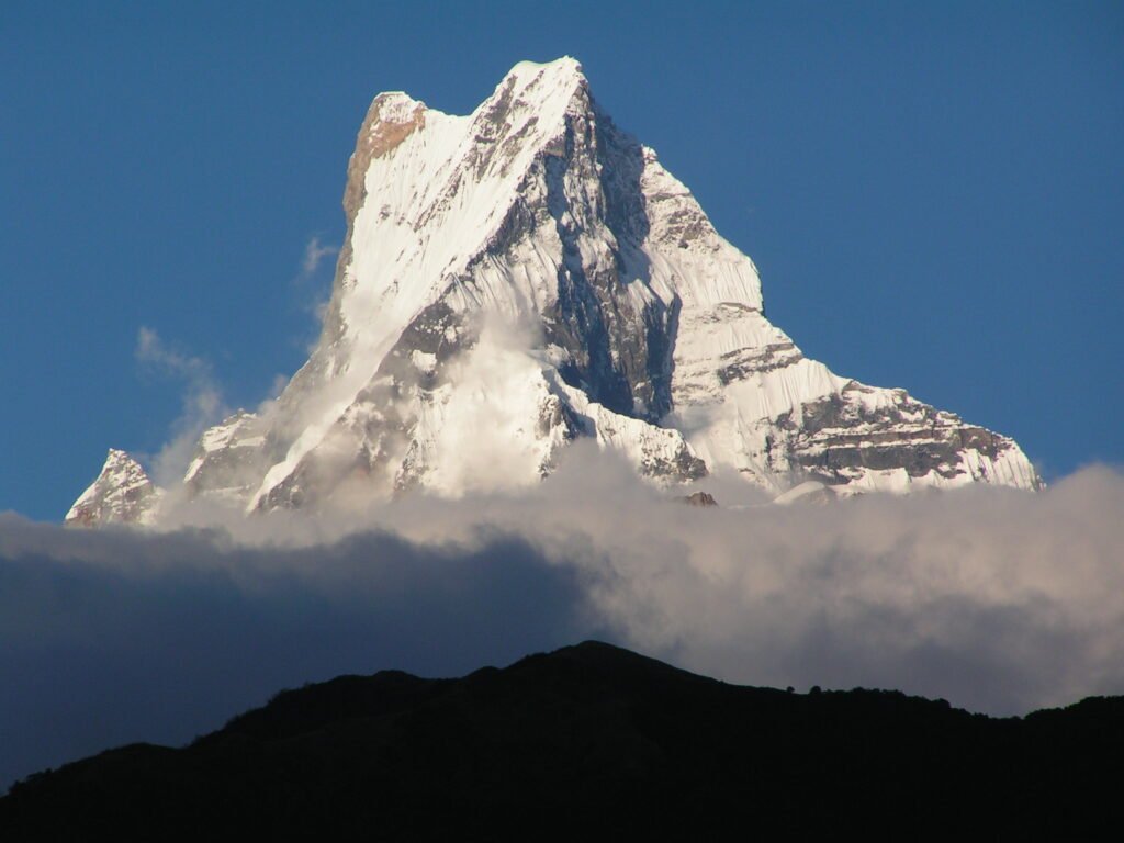 Protection Mountain | Business coach en ondersteuning